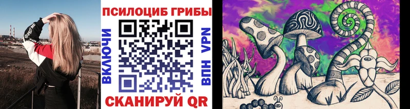 дарнет шоп  Среднеколымск  Галлюциногенные грибы прущие грибы 